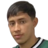 Geronimo Salinas