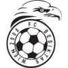 Besiktas Wien