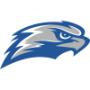 Concordia Falcons