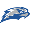 Concordia Falcons