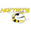 Bad Homburg Hornets