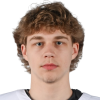 Valters Budenieks