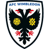 AFC Wimbledon -18