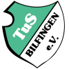 Bilfingen