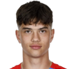 Petr Potmesil