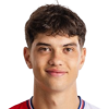 Petr Potmesil