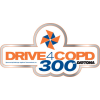 ドライブ4COPD 300