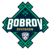 Bobrov divize