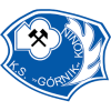 Gornik Konin
