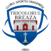 Tricolorul Breaza