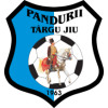 Pandurii Tg. Jiu U19