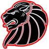 New Yorker Lions