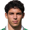 Diego De Dominicis