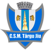 CSM ტარგუ ჯიუ