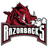Arkansas Razorbacks