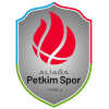 Petkim Spor