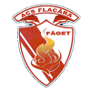 Flacara Faget