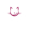 ATSC Wildcats Klagenfurt F