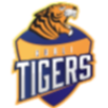 Hubli Tigers