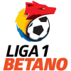 Liga 1