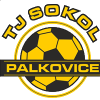 Palkovice