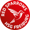 HSG Freiburg Ž