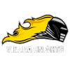 Vienna Knights
