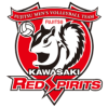 Fujitsu Kawasaki Red Spirit