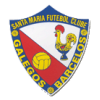 Санта Мария ФК