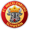 FC Mecklenburg Schwerin