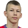 Stefan Visekruna