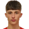 Dino Jergovic