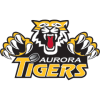 오로라 타이거즈