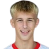 Dominik Dobis