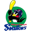 Yakult Swallows 2