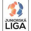Liga juniorov