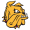 Minnesota Duluth Bulldogs
