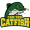 Can Tho Catfish