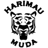 Harimau Muda C