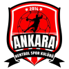 Ankara Hentbol