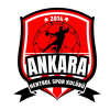 Ankara Hentbol