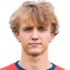 Dominik Skopal