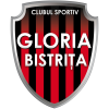 Fanion De Football Gloria Bistrita - Roumanie - En Bon état