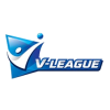 Volleyball-Liga