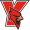 York College team logo