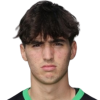 Luca Barani