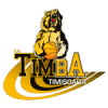 Тимба Тимишоара