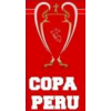 Pokal Peruja