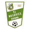 Nesovice