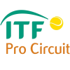 ITF M15 Tehran 2 Men